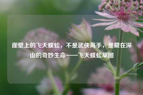 崖壁上的飞天蜈蚣，不是武侠高手，是藏在深山的奇妙生命——飞天蜈蚣草图