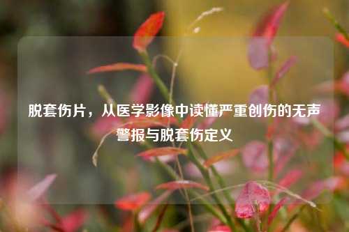 脱套伤片，从医学影像中读懂严重创伤的无声警报与脱套伤定义