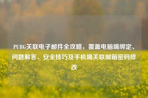 PUBG关联电子邮件全攻略，覆盖电脑端绑定、问题解答、安全技巧及手机端关联邮箱密码修改