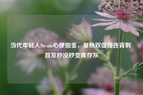 当代年轻人Steam心梗图鉴，夏秋双促接连背刺 首发秒没秒变库存灰