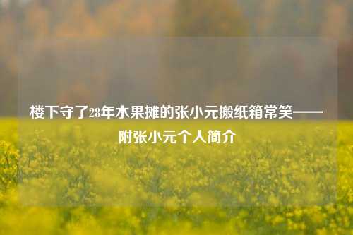 楼下守了28年水果摊的张小元搬纸箱常笑——附张小元个人简介