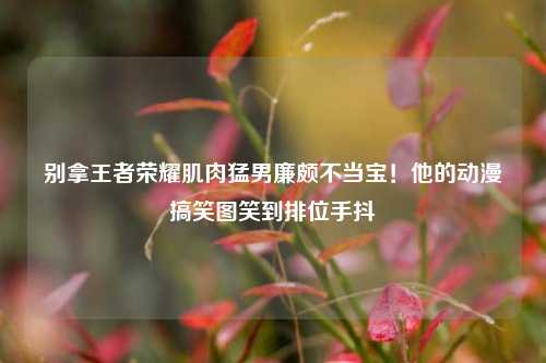 别拿王者荣耀肌肉猛男廉颇不当宝！他的动漫搞笑图笑到排位手抖