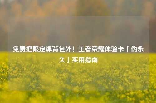免费把限定焊背包外！王者荣耀体验卡「伪永久」实用指南