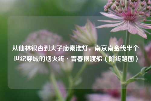 从仙林银杏到夫子庙秦淮灯，南京南金线半个世纪穿城的烟火线·青春摆渡船（附线路图）