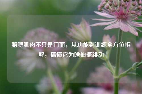 胳膊肌肉不只是门面，从功能到训练全方位拆解，搞懂它为啥抽搐跳动