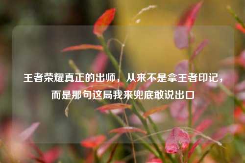 王者荣耀真正的出师，从来不是拿王者印记，而是那句这局我来兜底敢说出口