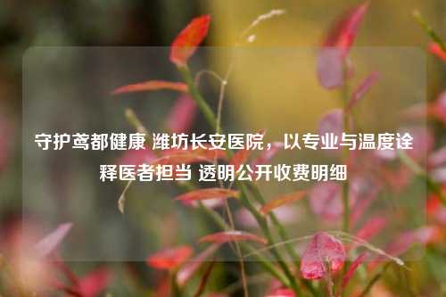 守护鸢都健康 潍坊长安医院，以专业与温度诠释医者担当 透明公开收费明细