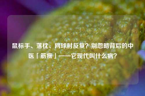 鼠标手、落枕、网球肘反复？别忽略背后的中医「筋痹」——它现代叫什么病？