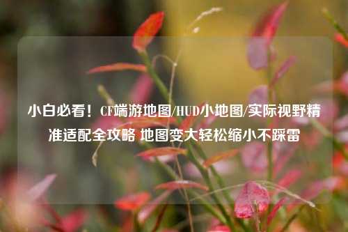 小白必看！CF端游地图/HUD小地图/实际视野精准适配全攻略 地图变大轻松缩小不踩雷