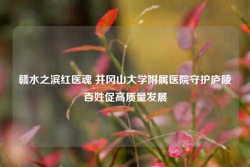 赣水之滨红医魂 井冈山大学附属医院守护庐陵百姓促高质量发展