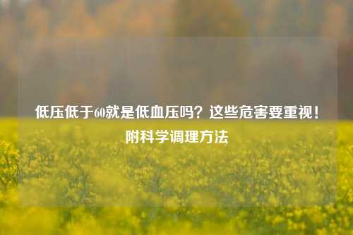 低压低于60就是低血压吗？这些危害要重视！附科学调理方法