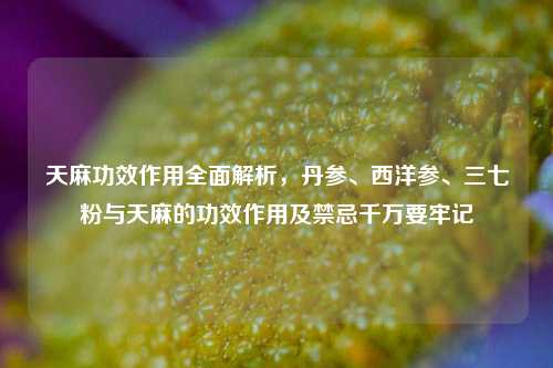 天麻功效作用全面解析，丹参、西洋参、三七粉与天麻的功效作用及禁忌千万要牢记