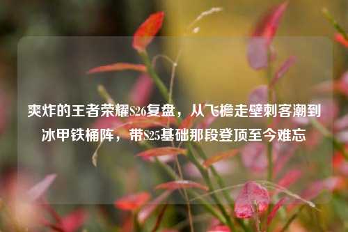 爽炸的王者荣耀S26复盘，从飞檐走壁刺客潮到冰甲铁桶阵，带S25基础那段登顶至今难忘