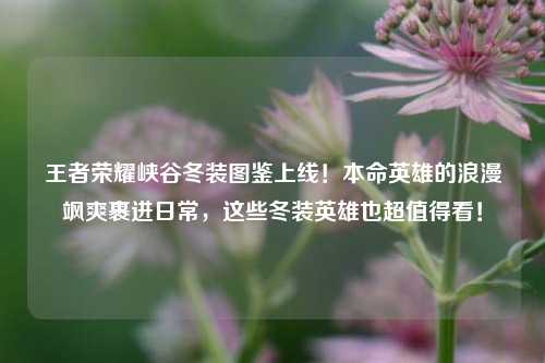 王者荣耀峡谷冬装图鉴上线！本命英雄的浪漫飒爽裹进日常，这些冬装英雄也超值得看！