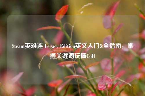 Steam英雄连 Legacy Edition英文入门&全指南，掌握关键词玩懂CoH