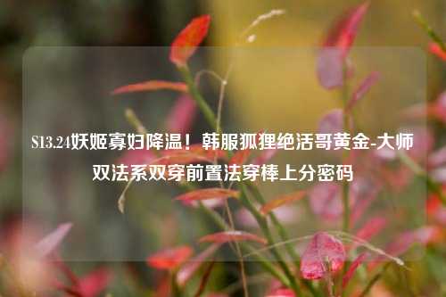 S13.24妖姬寡妇降温！韩服狐狸绝活哥黄金-大师双法系双穿前置法穿棒上分密码