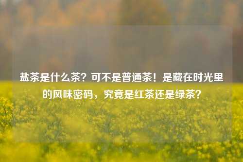 盐茶是什么茶？可不是普通茶！是藏在时光里的风味密码，究竟是红茶还是绿茶？