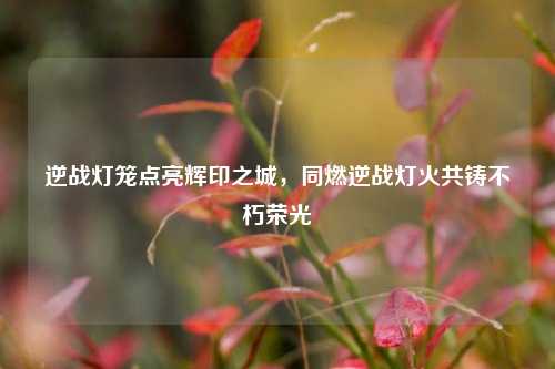 逆战灯笼点亮辉印之城，同燃逆战灯火共铸不朽荣光