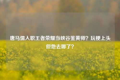 唐马儒入职王者荣耀当峡谷鉴黄师？玩梗上头但他去哪了？