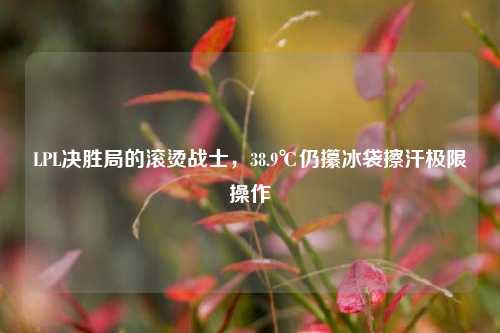 LPL决胜局的滚烫战士，38.9℃仍攥冰袋擦汗极限操作