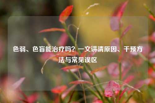 色弱、色盲能治疗吗？一文讲清原因、干预方法与常见误区
