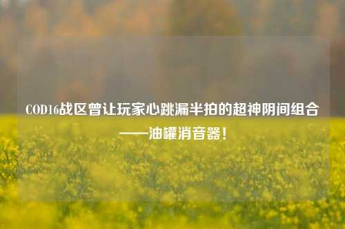 COD16战区曾让玩家心跳漏半拍的超神阴间组合——油罐消音器！