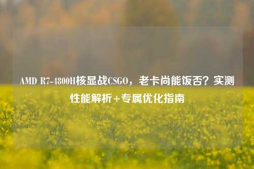 AMD R7-4800H核显战CSGO，老卡尚能饭否？实测性能解析+专属优化指南