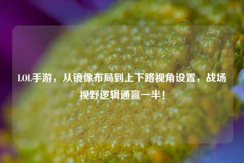 LOL手游，从镜像布局到上下路视角设置，战场视野逻辑通赢一半！