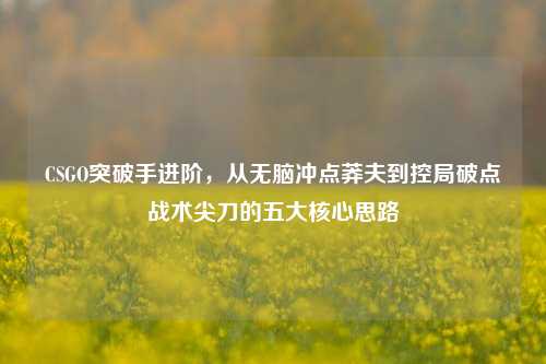 CSGO突破手进阶，从无脑冲点莽夫到控局破点战术尖刀的五大核心思路
