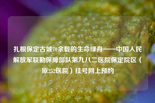 扎根保定古城70余载的生命绿舟——中国人民解放军联勤保障部队第九八二医院保定院区（原252医院）挂号网上预约