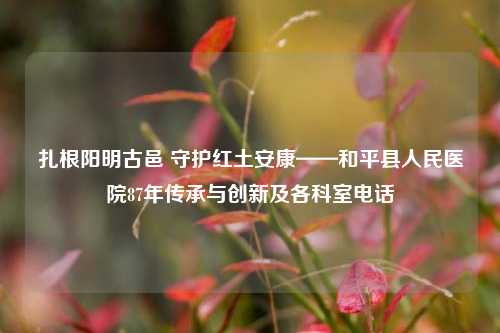 扎根阳明古邑 守护红土安康——和平县人民医院87年传承与创新及各科室电话