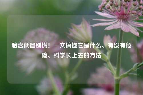 胎盘低置别慌！一文搞懂它是什么、有没有危险、科学长上去的方法