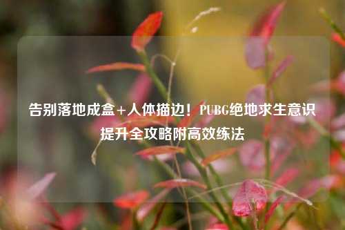 告别落地成盒+人体描边！PUBG绝地求生意识提升全攻略附高效练法
