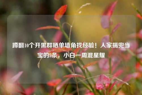 蹲翻10个开黑群晒单墙角找经验！人家揣兜当宝的5条，小白一周混星耀