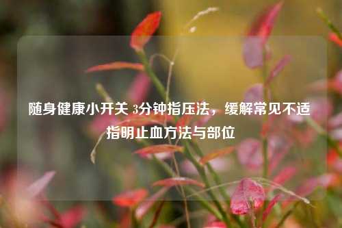 随身健康小开关 3分钟指压法，缓解常见不适 指明止血方法与部位