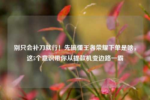 别只会补刀就行！先搞懂王者荣耀下单是啥，这5个意识带你从提款机变边路一霸