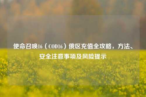 使命召唤16（COD16）俄区充值全攻略，方法、安全注意事项及风险提示