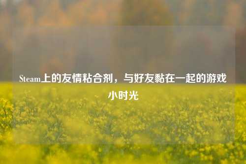 Steam上的友情粘合剂，与好友黏在一起的游戏小时光