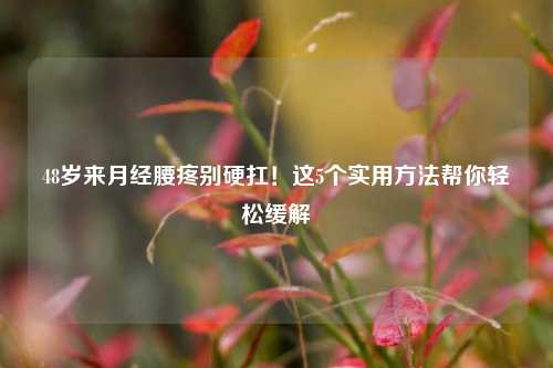 48岁来月经腰疼别硬扛！这5个实用方法帮你轻松缓解