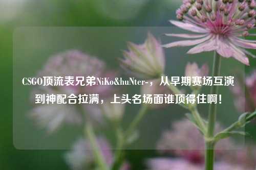 CSGO顶流表兄弟NiKo&huNter-，从早期赛场互演到神配合拉满，上头名场面谁顶得住啊！