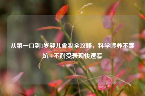 从第一口到1岁婴儿食物全攻略，科学喂养不踩坑+不耐受表现快速看