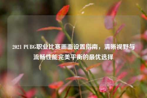 2021 PUBG职业比赛画面设置指南，清晰视野与流畅性能完美平衡的最优选择