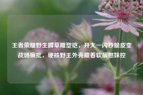 王者荣耀野生蹲草雕塑铠，开大一闪秒脆皮变战场疯批，硬核野王外壳藏着软萌憨妹控