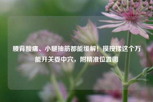 腰背酸痛、小腿抽筋都能缓解！摸按揉这个万能开关委中穴，附精准位置图