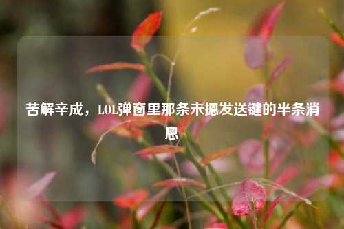 苦解辛成，LOL弹窗里那条未摁发送键的半条消息