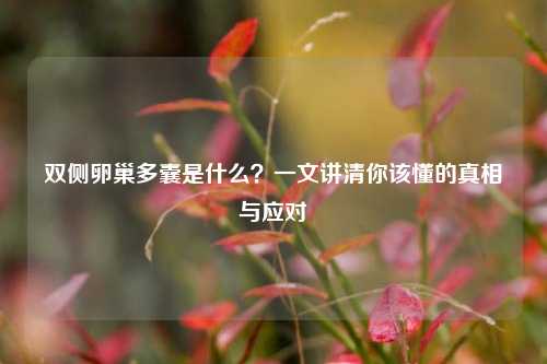 双侧卵巢多囊是什么？一文讲清你该懂的真相与应对