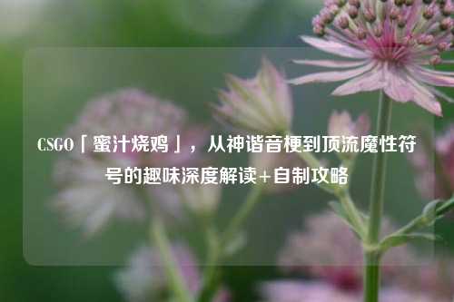 CSGO「蜜汁烧鸡」，从神谐音梗到顶流魔性符号的趣味深度解读+自制攻略