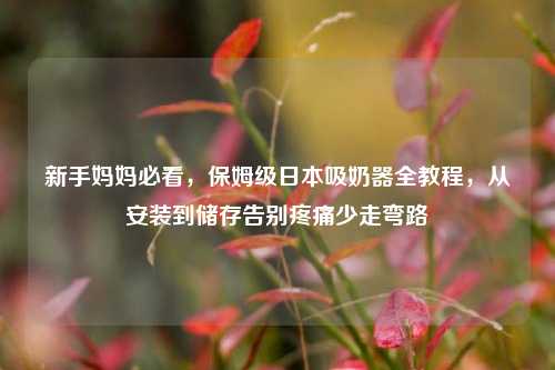 新手妈妈必看，保姆级日本吸奶器全教程，从安装到储存告别疼痛少走弯路