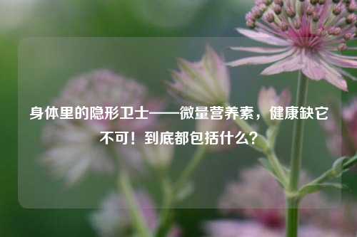 身体里的隐形卫士——微量营养素，健康缺它不可！到底都包括什么？