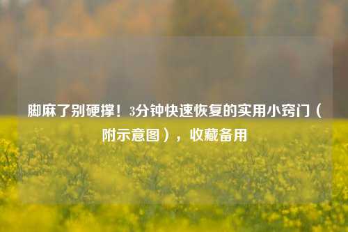 脚麻了别硬撑！3分钟快速恢复的实用小窍门（附示意图），收藏备用